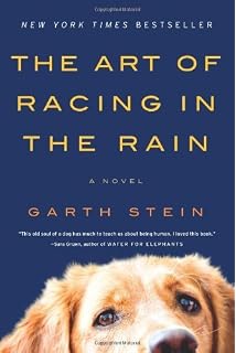 Amazon Com The Art Of Racing In The Rain A Novel 9780061537967
