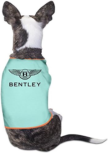 Bentley Logo Pet Tee Shirt SkyBlue