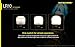 NITECORE LR10 250 Lumen USB Rechargeable Ultra Compact Multi-Purpose Lantern w/ Built-in Battery Ultra Includes - Available in 4 Styles (Black)