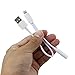 Sout Headphone/Earphone Adapter 8-pin to 3.5mm Headphone Jack Adapter (Music & USB)