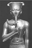 The Royal Gold of Ancient Egypt by Wolgang Muller, Wolfgang Thiem
