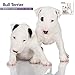Bull Terrier 18 Month 2016 Wall Calendar