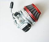 Signswise Racing Carburetor for 2 Stroke Engine Motorized Bicycle ATV Quad 49cc 66cc 70cc 80cc Red
