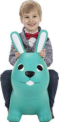 bunny space hopper