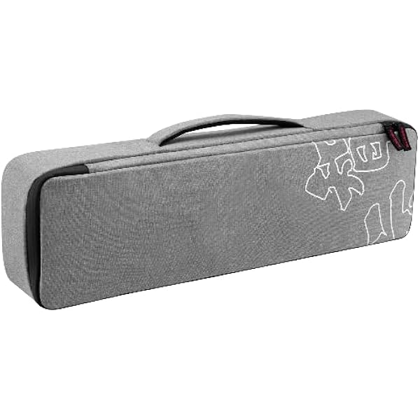 Amazon.com : ZHIYUN Molus G300 Video Light Bag : Electronics