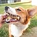 Nature Gnaws Bully Stick Bites for Small Dogs - Premium Natural Beef Bones - Bite Sized Dog Chew Treats for Light Chewers - Rawhide Free - 2-3 Inch (30 Count)