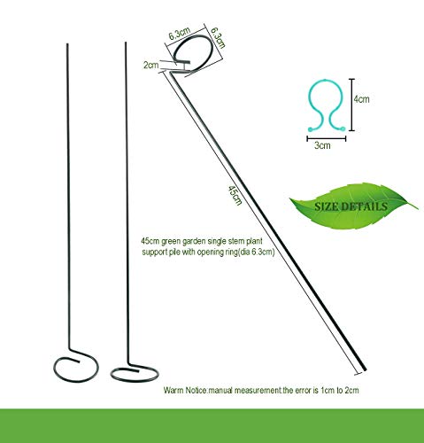Fashionclubs 6 Pack Plant Support Stakes, Single Stem Support Stakes Metal Garden Flower Support Stakes Plant Cage Support Rings with 12pcs Plant Clips, 17.8" Amaryllis Stakes for Tomatoes Orchid Lily