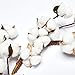 VGIA 16 Inch Real Cotton Wreath Farmhouse Decor Christmas Vintage Wreath - Adjustable Stems