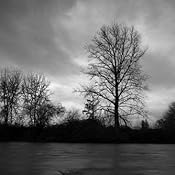 Amazon.com : Panasonic Lumix DMC-G1 12.1MP Digital Camera with Lumix G