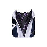 DiBanGu Black Ascot Ties for Men Paisley Cravat for
