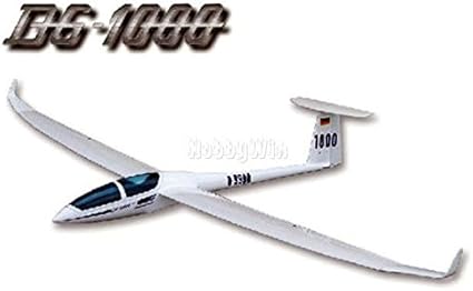 dg 1000 rc glider