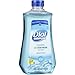 Dial Complete Spring Water Foaming Antibacterial Hand Wash Refill, 32 Oz (Pack of 2)