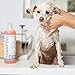 Paws & Pals Natural Oatmeal Dog Shampoo and Conditioner Combo, 2-in-1 Best for Cats & Dogs Dry Itchy Skin - Made in USA w/Medicated Clinical Vet Formula - Anti Itch Moisturizing Pet Soap for Sensitive