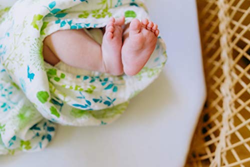 Organic Muslin Swaddle Blanket by Margaux & May - Dandelion & Meadow - 47 x 47 inch Ultra Soft Muslin Swaddle Blankets - Perfect Baby Shower Gift