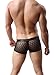 Men's Sexy Mesh Sheer Boxer Briefs Underwear Black Trunks Underpants