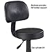 Master Equipment  Deluxe Pet Grooming Stools with Back Rests - Sturdy and Versatile Stools for Professional Pet Groomers or Veterinarians, Black