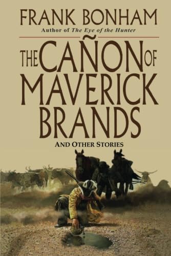 The Cañon of Maverick Brands