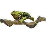 MOTINA Flexible 15.74" long Jungle Vines Bend-A-Branch Reptiles Habitat Decor for Lizard, Frogs, Snakes and More Reptiles
