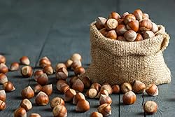 Raw In Shell Filberts/Hazelnuts (2 Lbs.) - Vegan