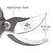 rista jade Professional Hand Pruning Shears Set – Bypass Gardening Hand Pruner Sharp Secateurs with Comfort Grip Handles and Hardened Steel Clippers for Gardening, Trimming, and Yard Work, 2 Packthumb 2