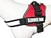 ALBCORP Service Dog Vest Harness – Reflective, No-Pull Harness with Handle & Comfy Mesh Padding – Sizes XXS-XL for Puppies, Small & Large Dogs – 2 Removable Service Patches Included (Medium, Red)