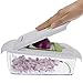 Freshware 4-in-1 Onion Chopper, Vegetable Slicer, Fruit and Cheese Cutter Container with Storage Lid