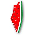 YILUOCD Cute Palestine Watermelon Pins Hot Summer Fruit Palestine Map Brooches Bag Decoration Badges Women Lapel Pin Jewelry Gift