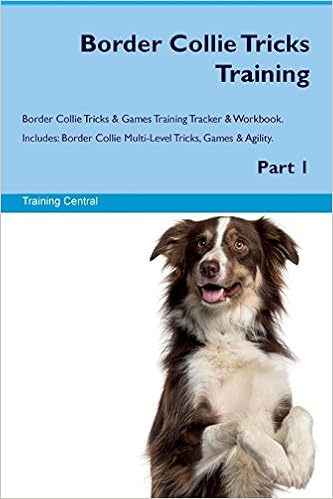 amazon border collie