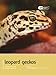 Leopard Gecko (Pet Expert Book 5) by