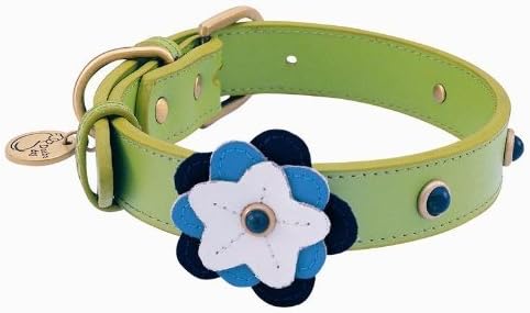 Sodalite Petal Leather Dog Collar - Medium
