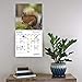 Squirrels 2019 16 Month Wall Calendar 12 x 12 Inches