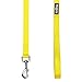 Blueberry Pet Essentials Blazing Yellow Dog Leash for Medium - 5' * 3/4