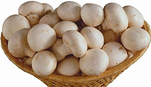 100 pcs/bag Mushroom Seeds Funny Succulent Plant Edible Health Vegetable 25 Kinds Mushroom Seeds For Happy Farm Chocolate