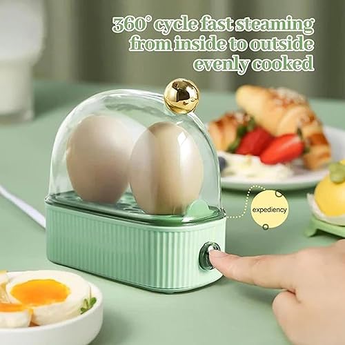 Electric Hard Boiled Egg Maker Steamer,Rapid Egg Cooker Electric 2 Eggs
