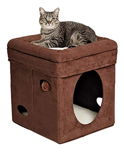 cat house online