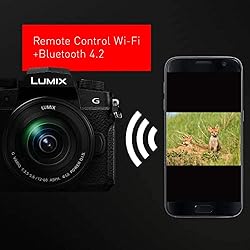 Panasonic LUMIX G95D 20.3 Megapixel Mirrorless