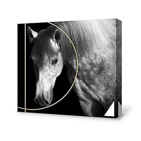Black and White Horse Home Artwork for Living Room Bedroom