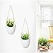 MoonLa Ceramic Hanging Planter Succulent Air Plant Flower Pot Wall Decor, Set of 3(Plants Not Included)