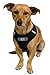 Paws & Pals Pet Control Harness for Dog & Cat Easy Soft Walking Collar, Medium, Black