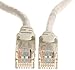 AmazonBasics RJ45 Cat-5e Network Ethernet Cord Internet Cable - 25 Feet (7.6 Meters) primary
