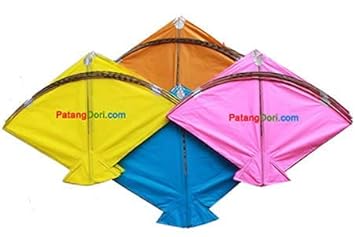 Buy Patangdori Cheel Patang Indian Fighter Kite Multicolour