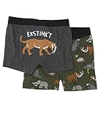 Hatley Little Boys' Kids  Boxers Prehistoric Animals