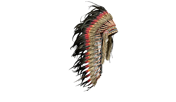 Amazon.com: Chief Feathers Warbonnet 