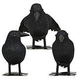 Brand New Lot of 9 Halloween Black Feathered Crows Ravens Props Decor Decorations Birds