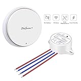 Wireless Light Switch Kit, Remote Solution for Adding or Relocate Switch Anywhere, Cordless Control by Battery-free(Self-powered) RF Transmitter