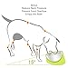 Super Design Mess Free 15° Slanted Bowl for Dogs and Cats, Tilted Angle Bulldog Bowl Pet Feeder, Non-skid & Non-spill, Easier to Reach Food L/3 Cup Light Blue