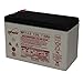 Enersys NP7-12 12V 7Ah Sealed Lead Acid Battery - Genuine Enersys Product