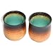 Happy Sales HSTC-MGTRQ2, Set of Two Japanese Turquoise Green Kosui Teacups Mugs