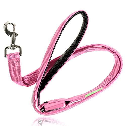 ILLUMISEEN LED Light Up Dog Leash Ultra High Visibility Up to 350