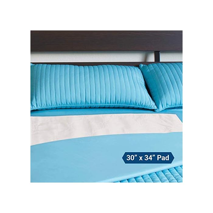 Healthy Spirit Waterproof Sheet Protector Reusable Absorbent Underpad, 30 X 34 inch, 1 Count